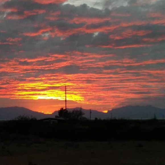 Meet your Posher, Elisia - Picture 4 of 4